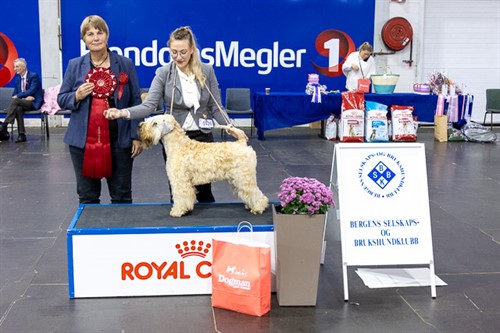 Beste junior søndag.jpg